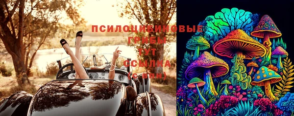 соль курить ск Алексеевка